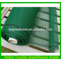 Green hdpe nylon construction scaffolding safety net for usa market